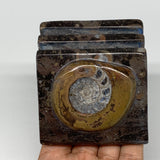 506g, 2.9" x 2.9" x 2" Fossils Orthoceras Ammonite Business Card Holder,B7887