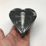 390 Grams Heart Fossils Orthoceras Handmade Black Jewelry Box @Morocco,MF529 - watangem.com