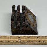 506g, 2.9" x 2.9" x 2" Fossils Orthoceras Ammonite Business Card Holder,B7887