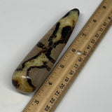 169.2g,5.1"x1.2" Natural Septarian Wand Stick, Home Decor, Collectible, B6098
