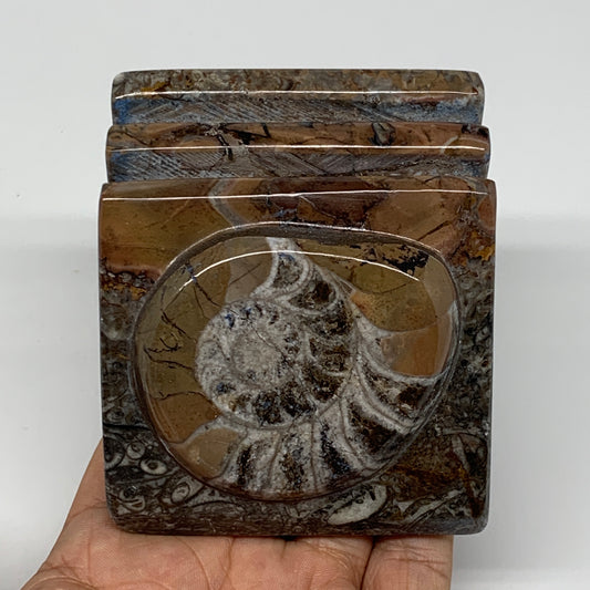 552g, 2.9" x 2.9" x 2.2" Fossils Orthoceras Ammonite Business Card Holder,B7889