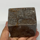 552g, 2.9" x 2.9" x 2.2" Fossils Orthoceras Ammonite Business Card Holder,B7889