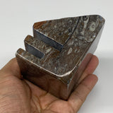 552g, 2.9" x 2.9" x 2.2" Fossils Orthoceras Ammonite Business Card Holder,B7889
