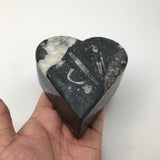414 Grams Heart Fossils Orthoceras Handmade Black Jewelry Box @Morocco,MF527
