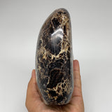 1074g,5.7"x3.7"x2.5"Natural Black Opal Freeform Polished Gemstone Stands,B2449