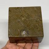 494g, 2.8" x 2.9" x 1.9" Fossils Orthoceras Ammonite Business Card Holder,B8092