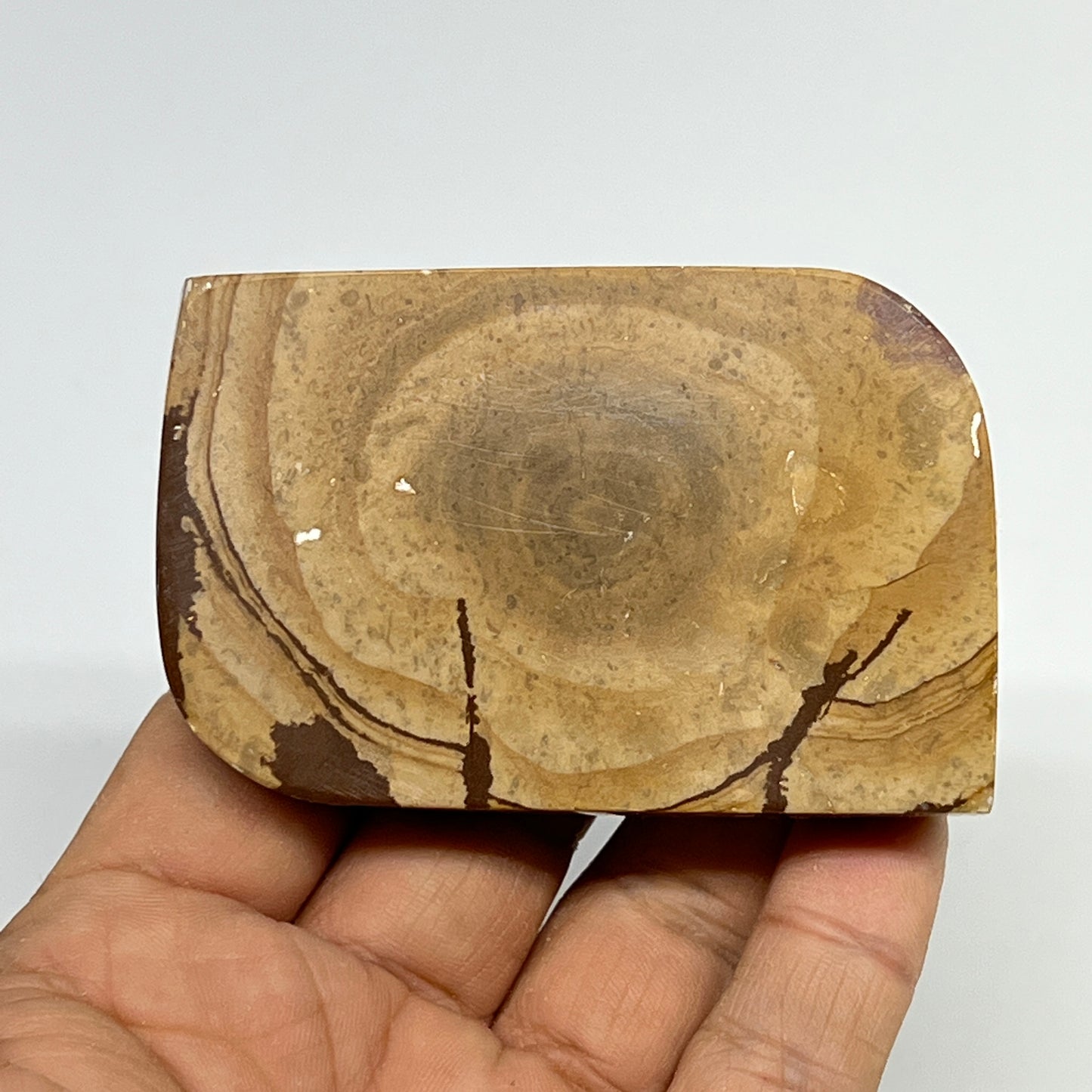 137.3g, 2.9"x1.9"x0.7" Picture Jasper Rectangle Gemstone Home Decor, B20153