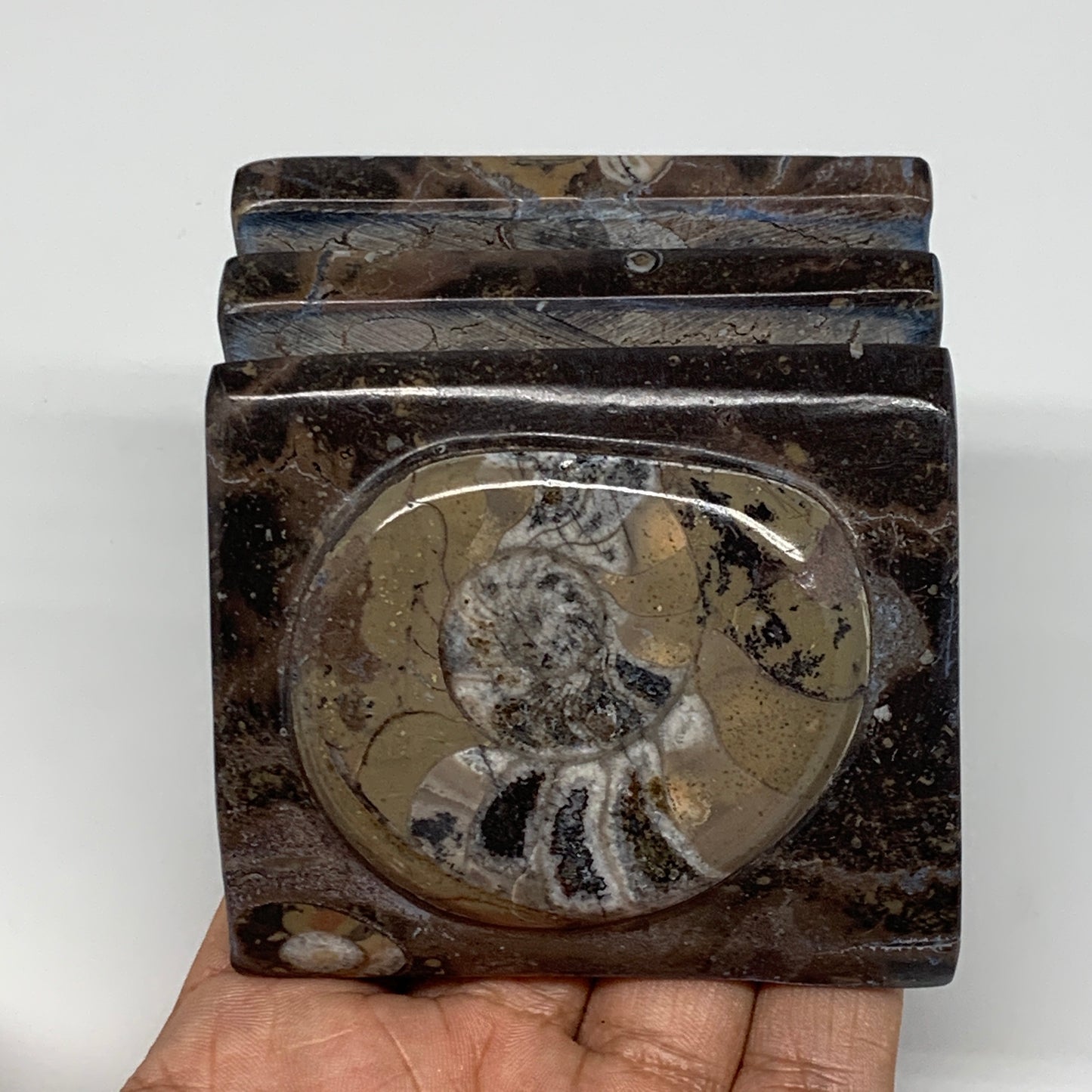 498g, 2.9" x 2.9" x 1.9" Fossils Orthoceras Ammonite Business Card Holder,B8093