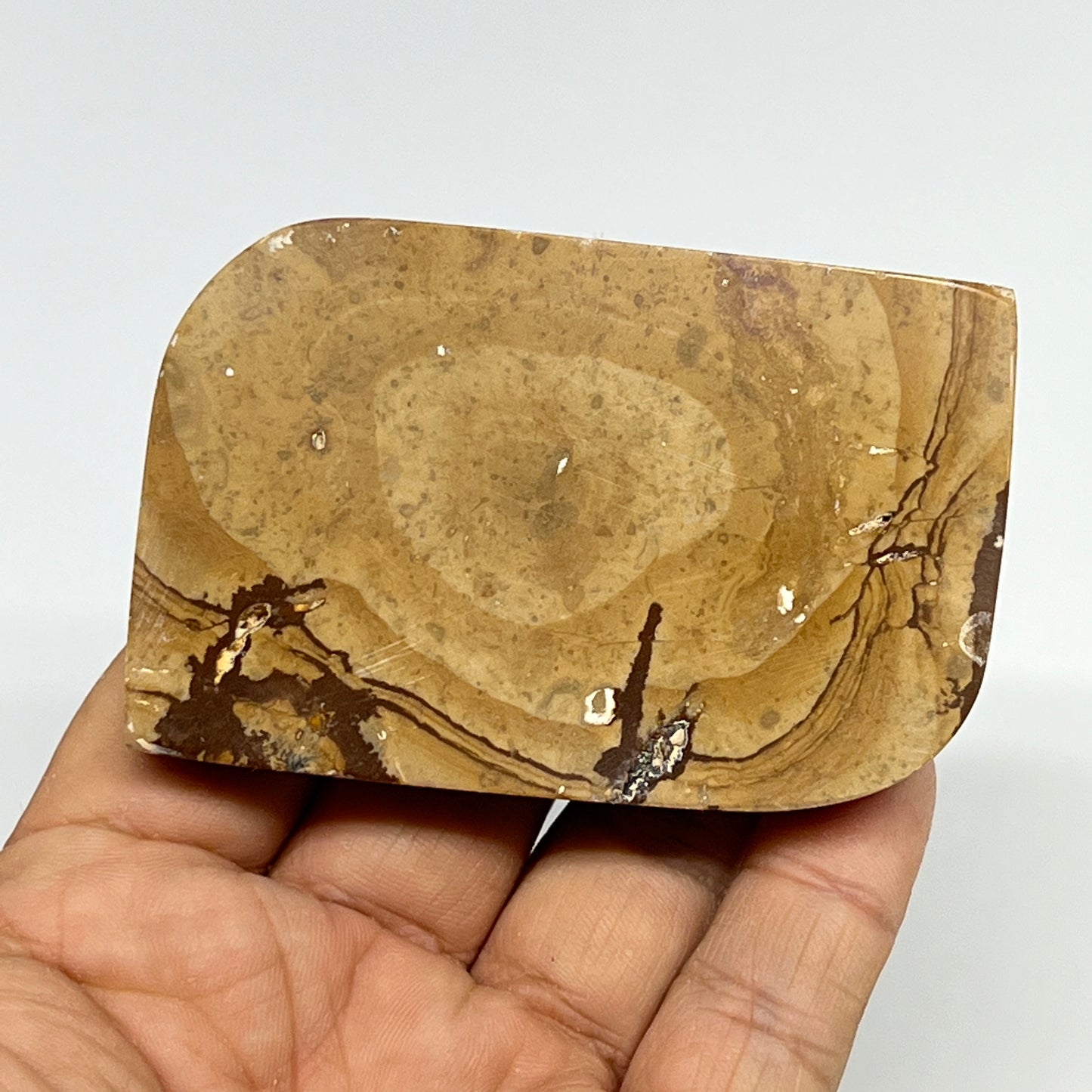 137.3g, 2.9"x1.9"x0.7" Picture Jasper Rectangle Gemstone Home Decor, B20153