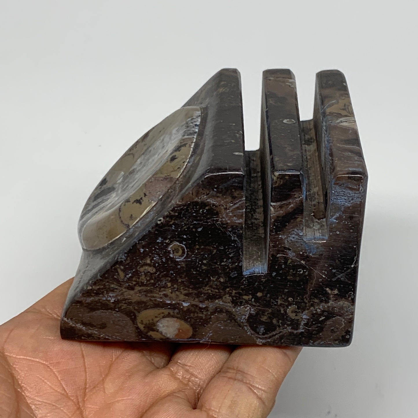 498g, 2.9" x 2.9" x 1.9" Fossils Orthoceras Ammonite Business Card Holder,B8093