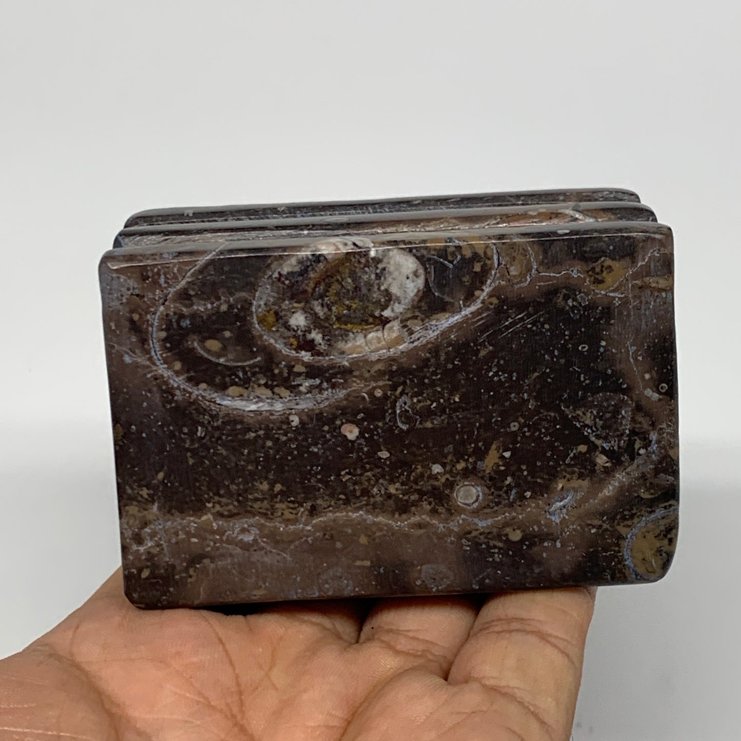 498g, 2.9" x 2.9" x 1.9" Fossils Orthoceras Ammonite Business Card Holder,B8093