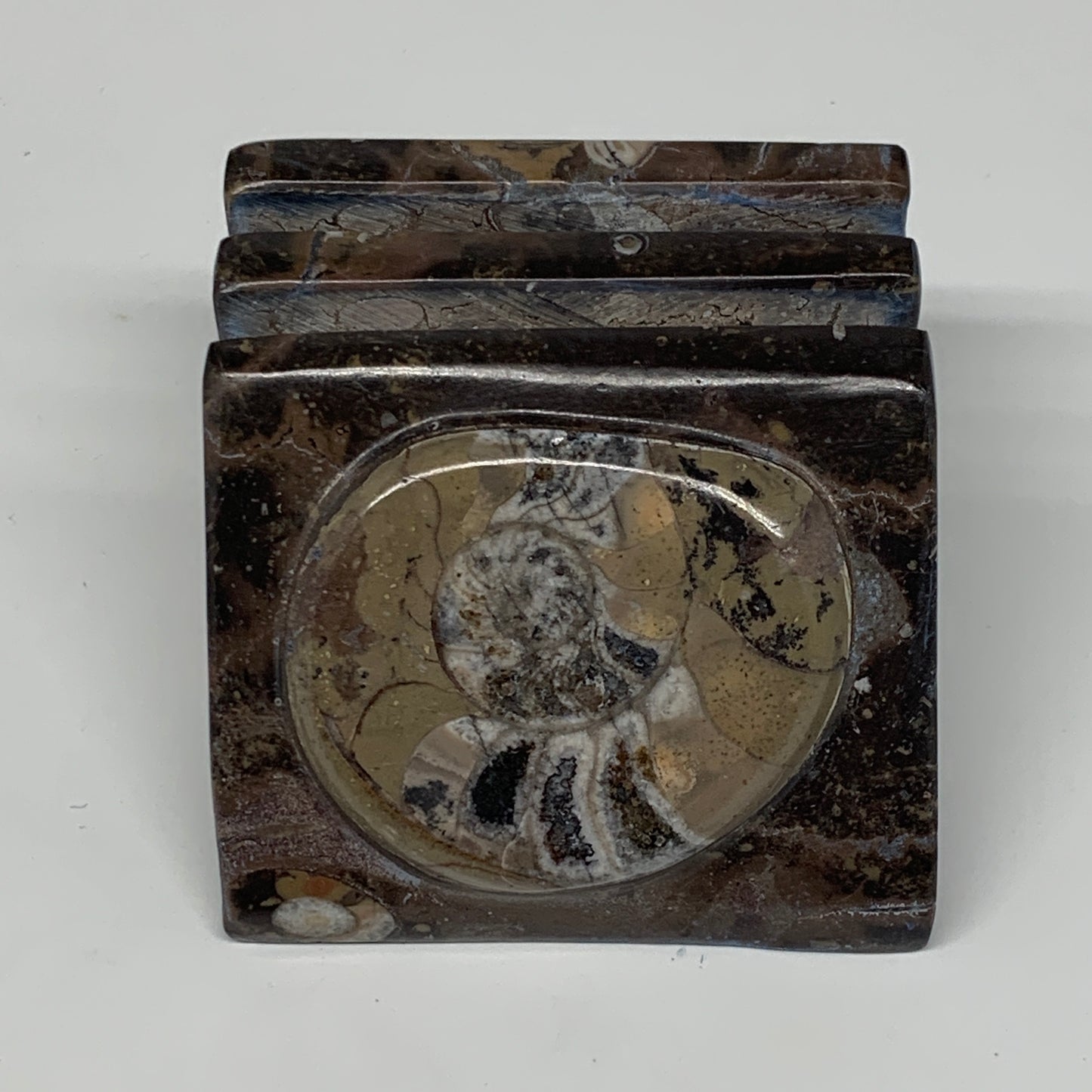 498g, 2.9" x 2.9" x 1.9" Fossils Orthoceras Ammonite Business Card Holder,B8093