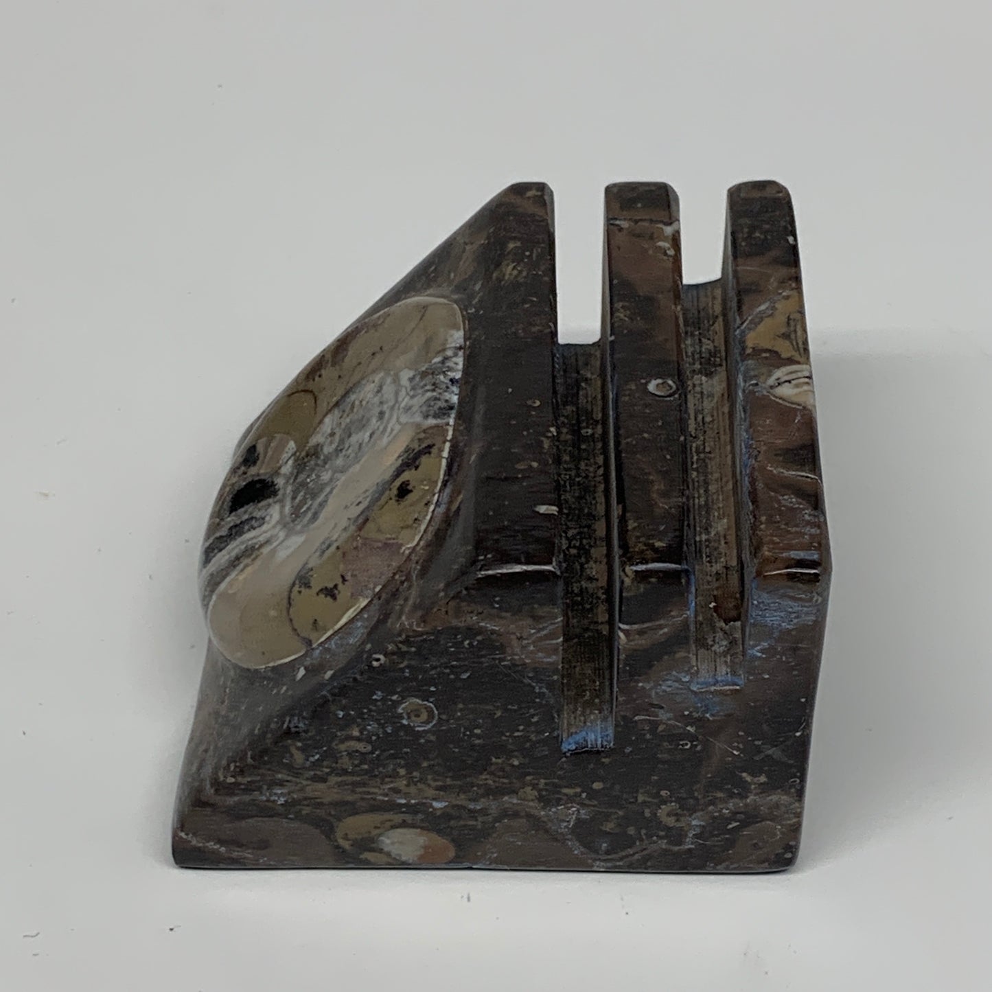 498g, 2.9" x 2.9" x 1.9" Fossils Orthoceras Ammonite Business Card Holder,B8093