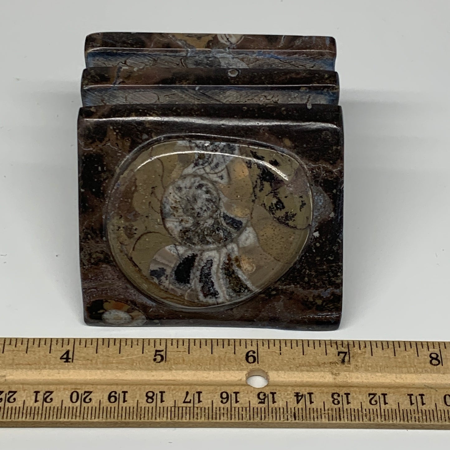 498g, 2.9" x 2.9" x 1.9" Fossils Orthoceras Ammonite Business Card Holder,B8093
