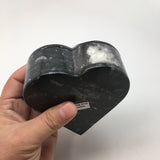 386 Grams Heart Fossils Orthoceras Handmade Black Jewelry Box @Morocco,MF522 - watangem.com