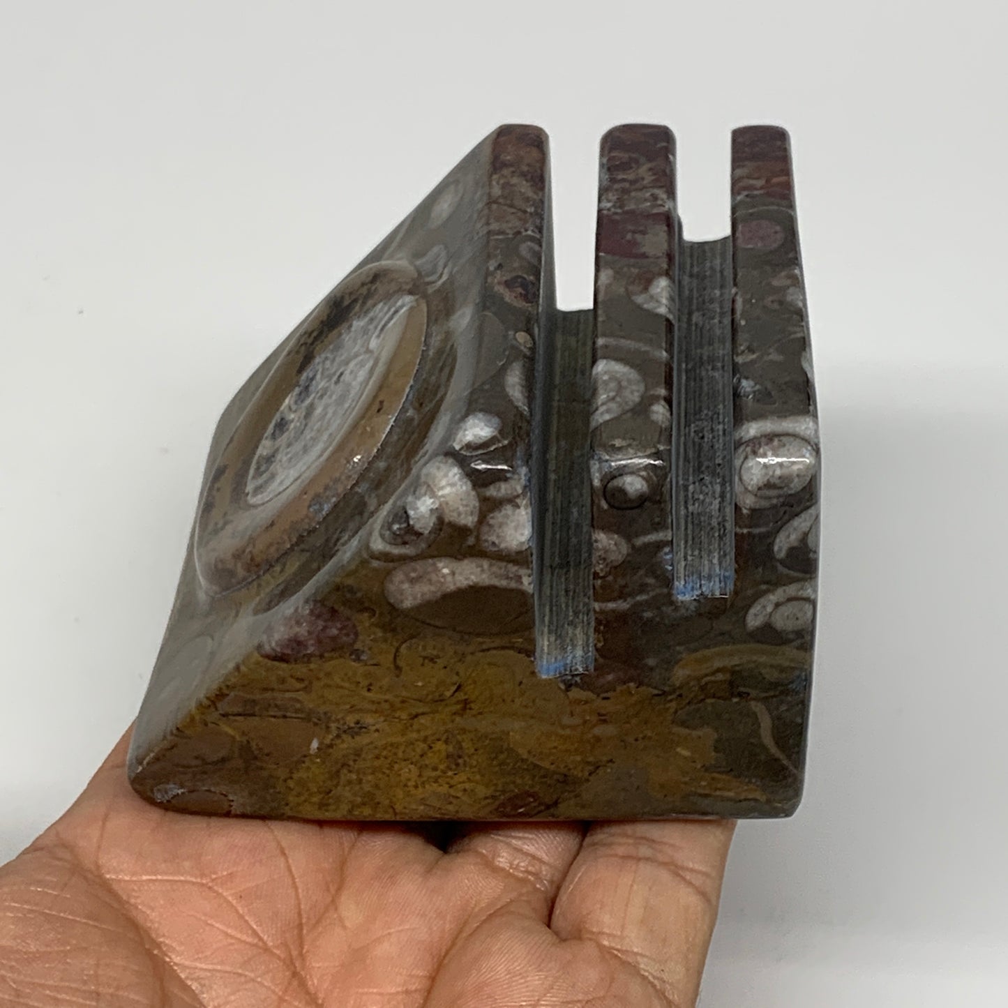 494g, 2.9" x 2.9" x 1.9" Fossils Orthoceras Ammonite Business Card Holder,B8094