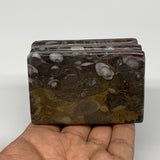 494g, 2.9" x 2.9" x 1.9" Fossils Orthoceras Ammonite Business Card Holder,B8094