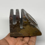 494g, 2.9" x 2.9" x 1.9" Fossils Orthoceras Ammonite Business Card Holder,B8094