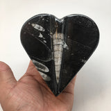 418 Grams Heart Fossils Orthoceras Handmade Black Jewelry Box @Morocco,MF521