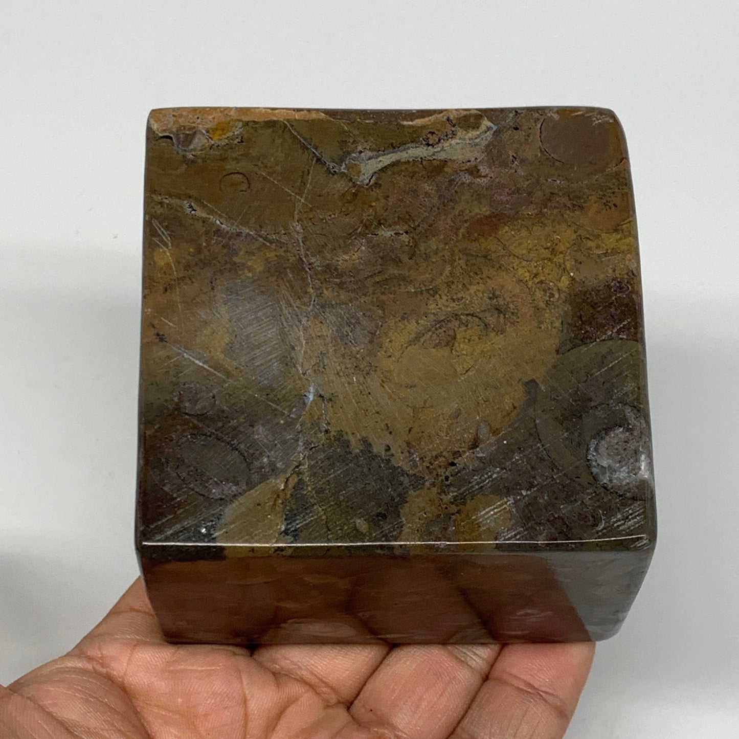 494g, 2.9" x 2.9" x 1.9" Fossils Orthoceras Ammonite Business Card Holder,B8094