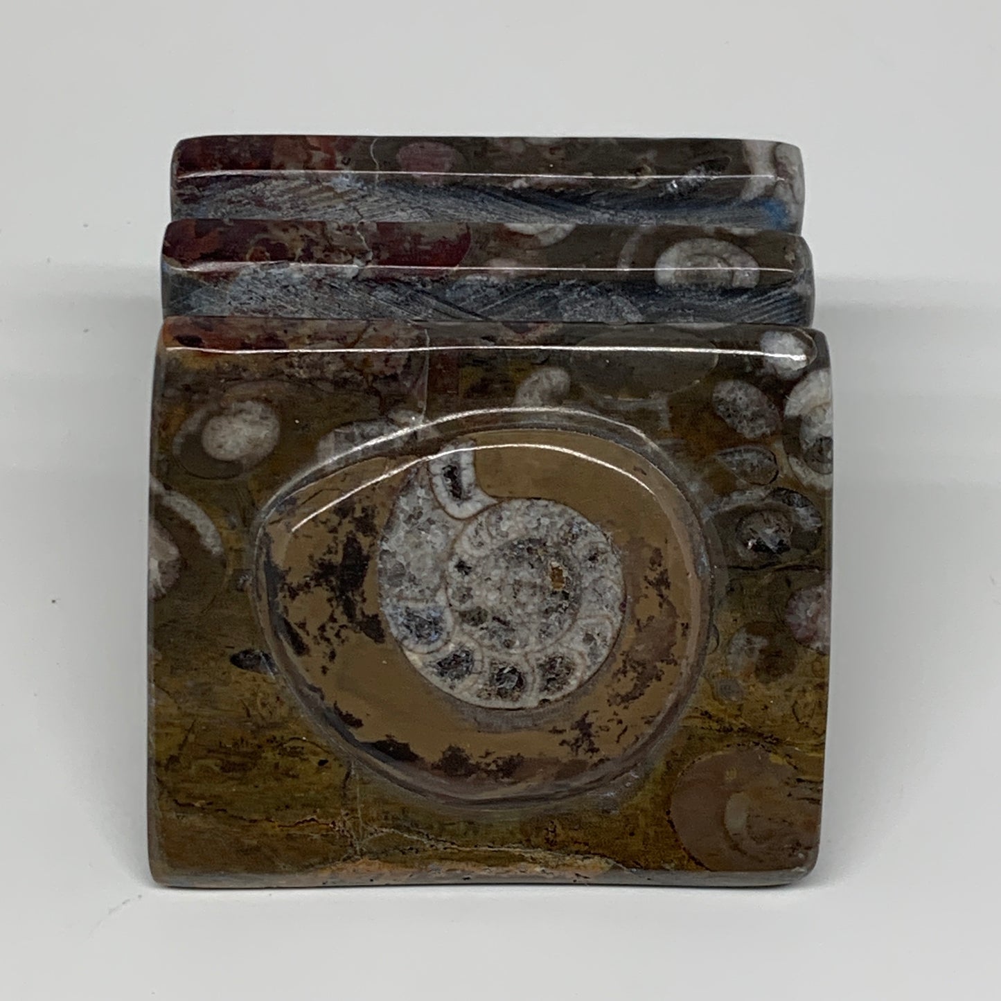 494g, 2.9" x 2.9" x 1.9" Fossils Orthoceras Ammonite Business Card Holder,B8094