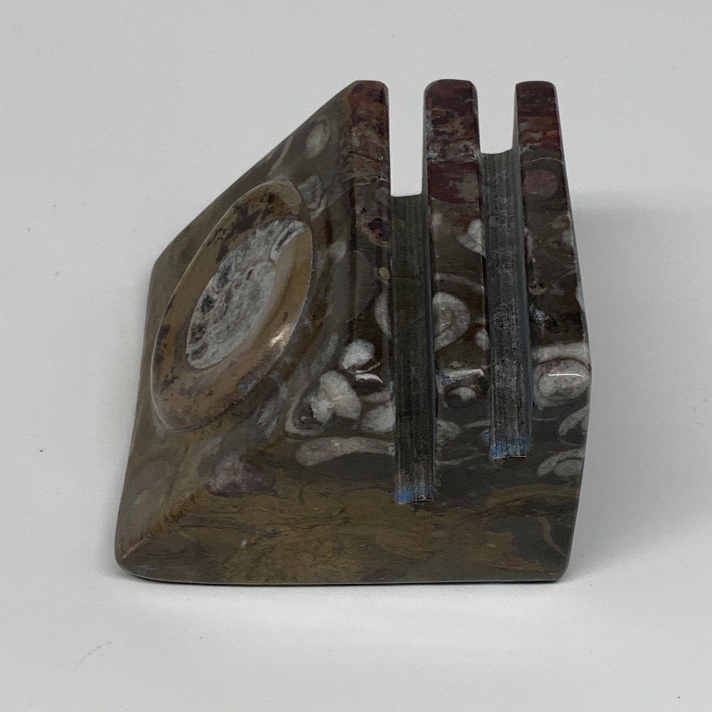 494g, 2.9" x 2.9" x 1.9" Fossils Orthoceras Ammonite Business Card Holder,B8094