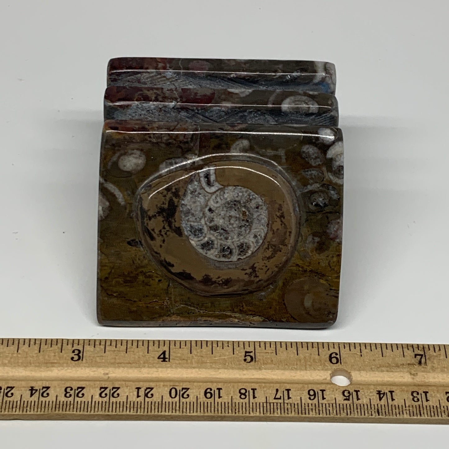 494g, 2.9" x 2.9" x 1.9" Fossils Orthoceras Ammonite Business Card Holder,B8094