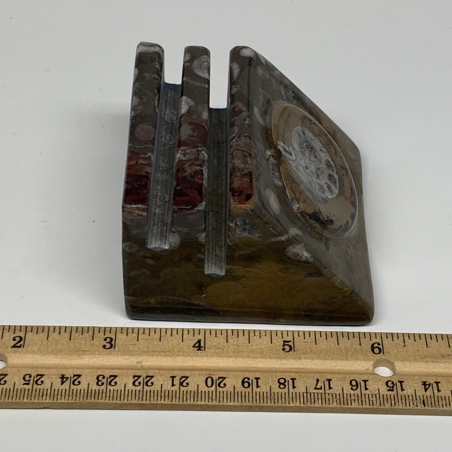 494g, 2.9" x 2.9" x 1.9" Fossils Orthoceras Ammonite Business Card Holder,B8094