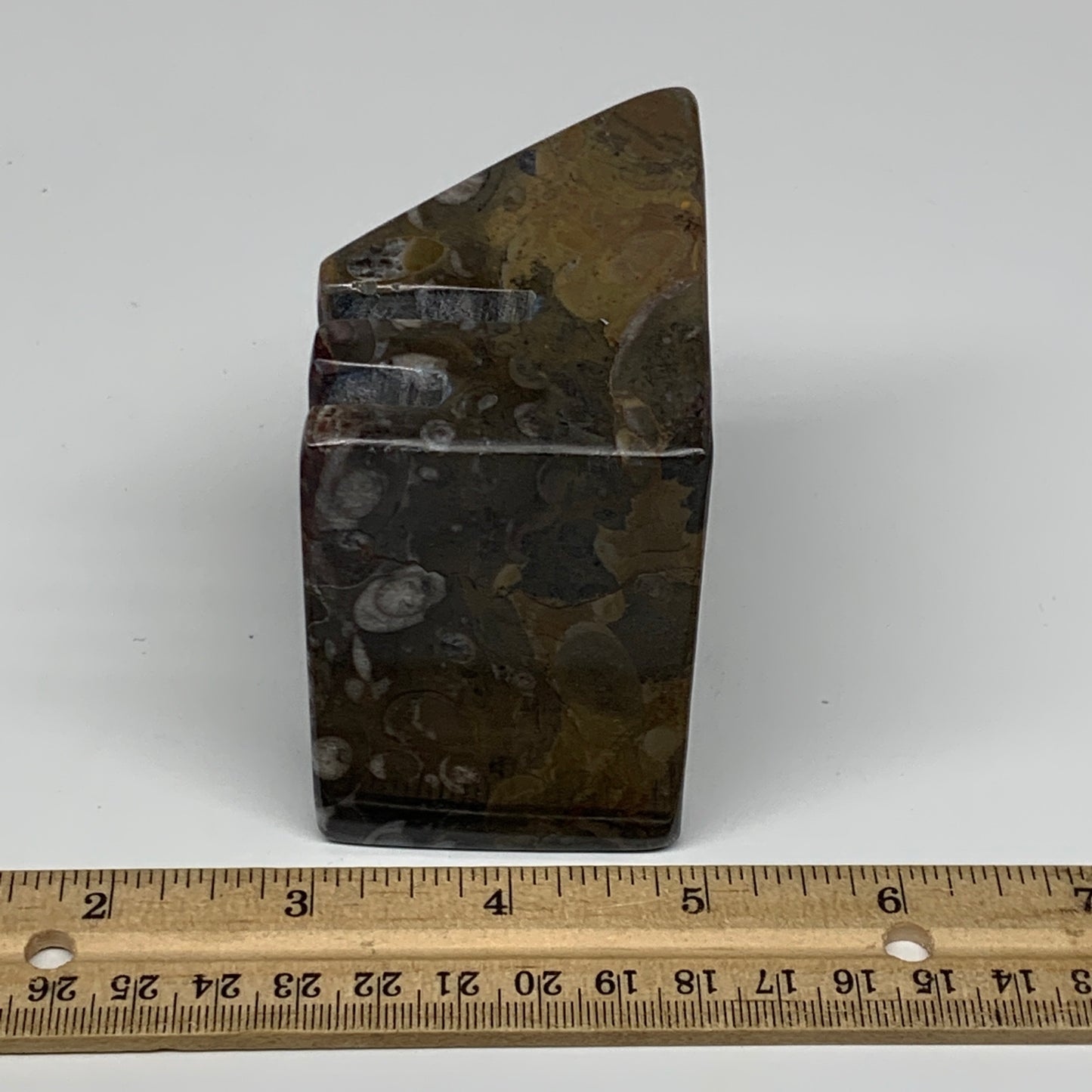 494g, 2.9" x 2.9" x 1.9" Fossils Orthoceras Ammonite Business Card Holder,B8094