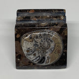 536g, 2.9" x 2.9" x 2" Fossils Orthoceras Ammonite Business Card Holder,B8095