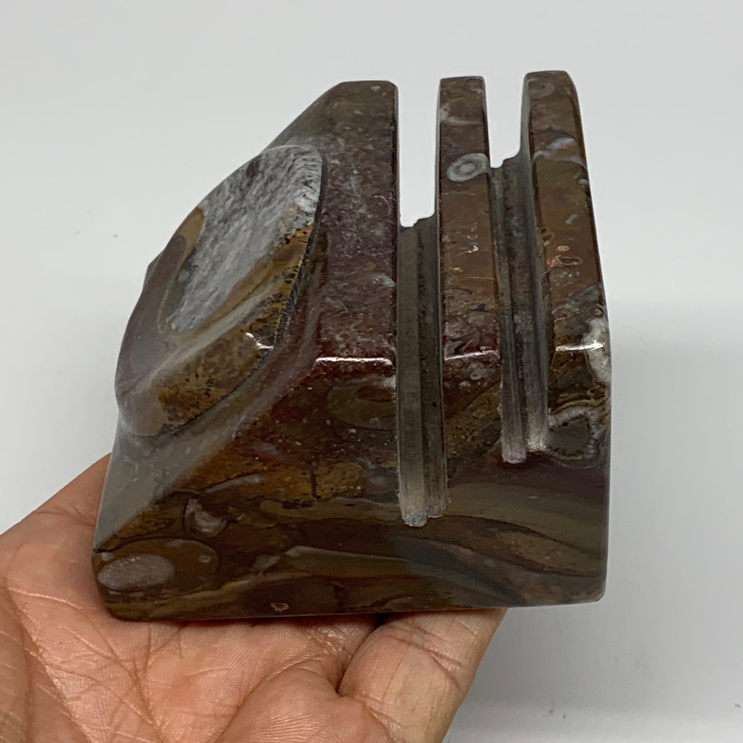 510g, 2.8" x 2.8" x 1.9" Fossils Orthoceras Ammonite Business Card Holder,B8096