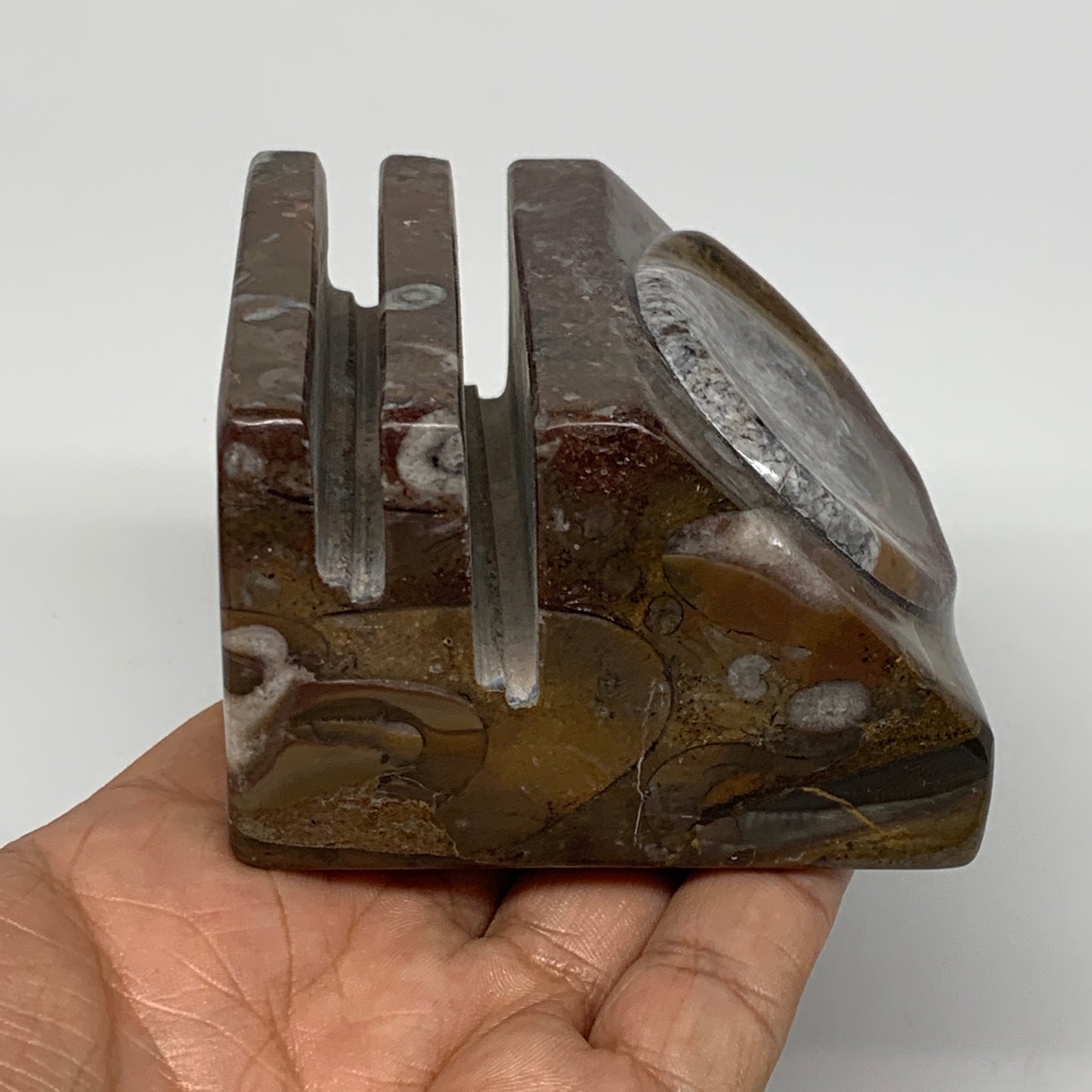 510g, 2.8" x 2.8" x 1.9" Fossils Orthoceras Ammonite Business Card Holder,B8096