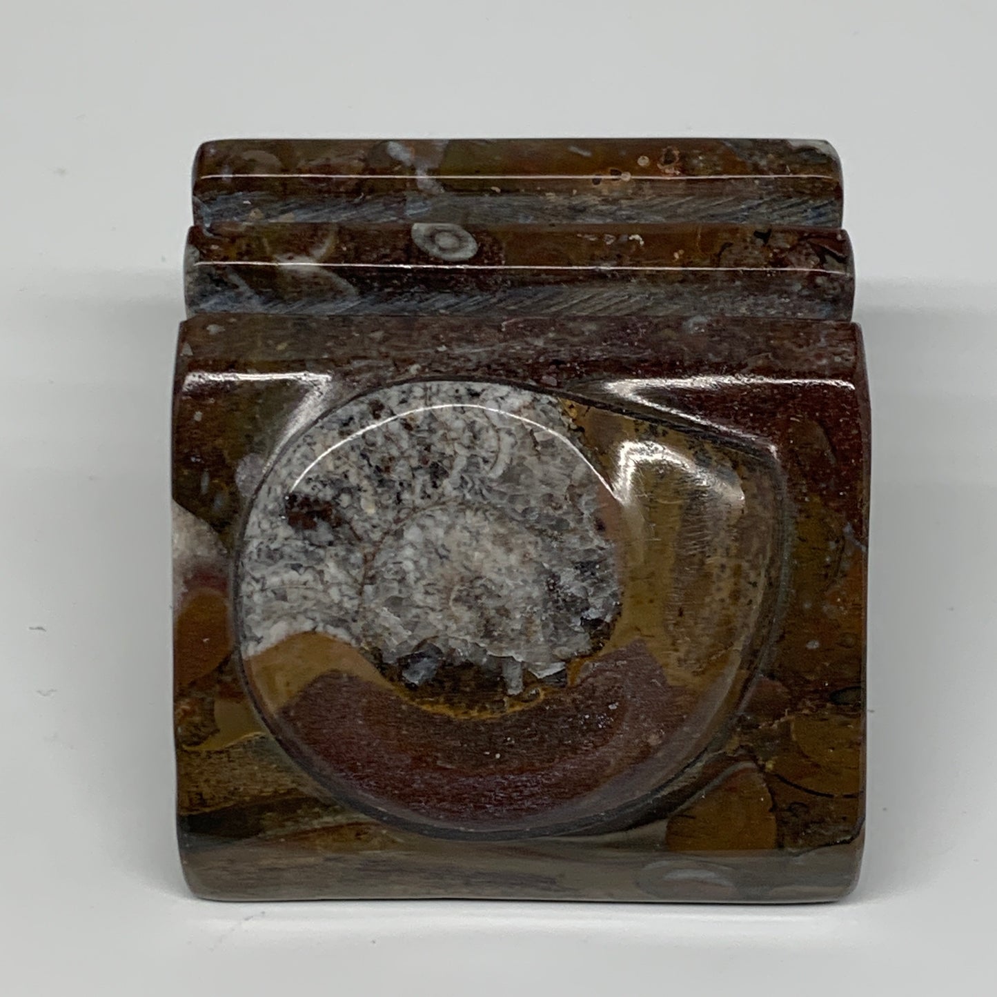 510g, 2.8" x 2.8" x 1.9" Fossils Orthoceras Ammonite Business Card Holder,B8096