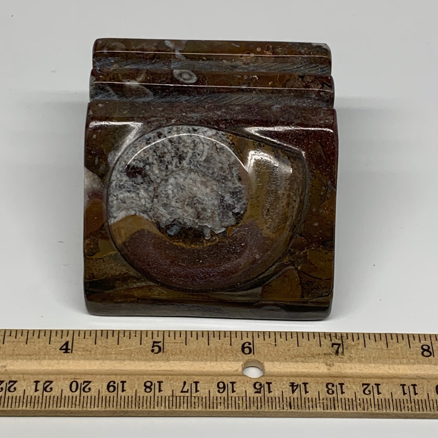 510g, 2.8" x 2.8" x 1.9" Fossils Orthoceras Ammonite Business Card Holder,B8096
