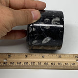 211.1g, 2.1"x2.4" Black Fossils Ammonite Orthoceras Jewelry Box @Morocco,F2581