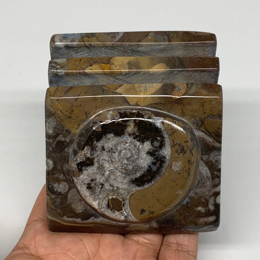 506g, 2.8" x 2.8" x 2" Fossils Orthoceras Ammonite Business Card Holder,B8100