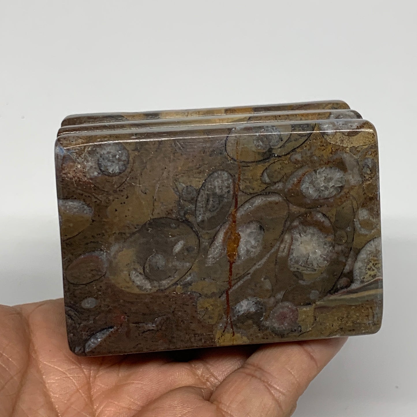 506g, 2.8" x 2.8" x 2" Fossils Orthoceras Ammonite Business Card Holder,B8100