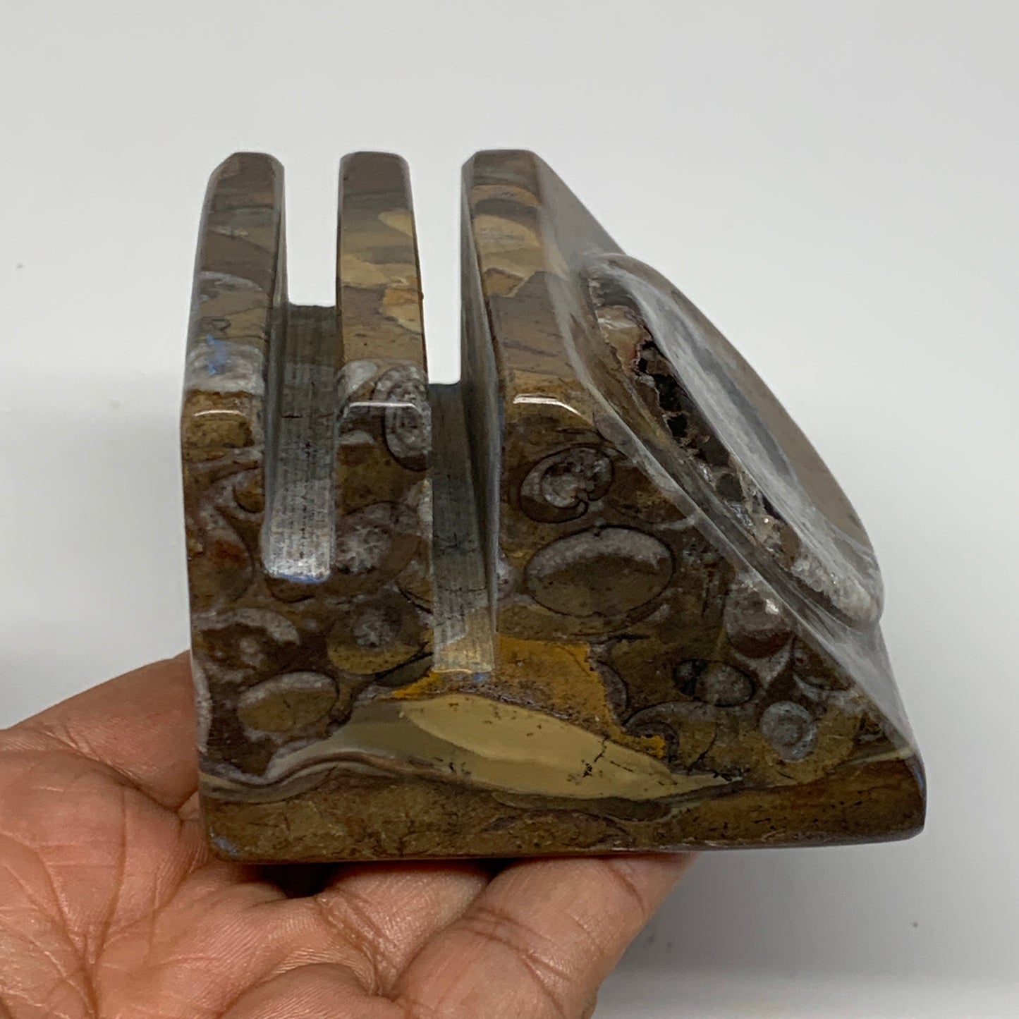 506g, 2.8" x 2.8" x 2" Fossils Orthoceras Ammonite Business Card Holder,B8100