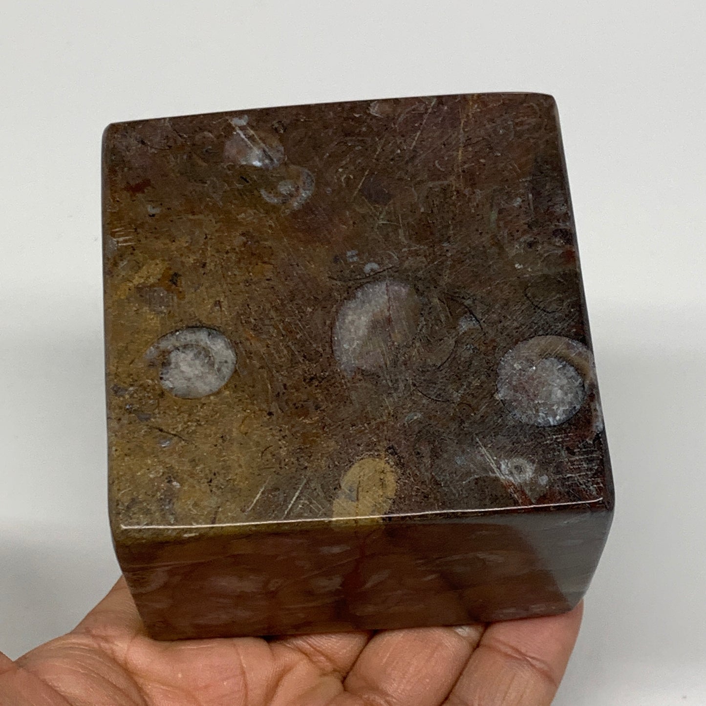 506g, 2.8" x 2.8" x 2" Fossils Orthoceras Ammonite Business Card Holder,B8100