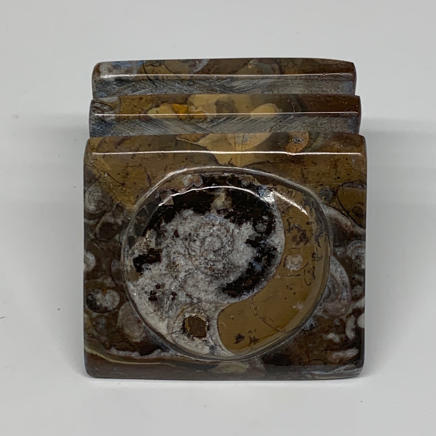 506g, 2.8" x 2.8" x 2" Fossils Orthoceras Ammonite Business Card Holder,B8100