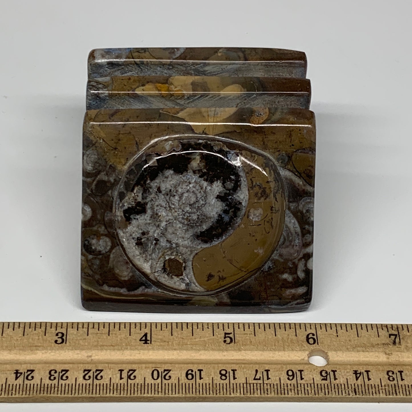 506g, 2.8" x 2.8" x 2" Fossils Orthoceras Ammonite Business Card Holder,B8100