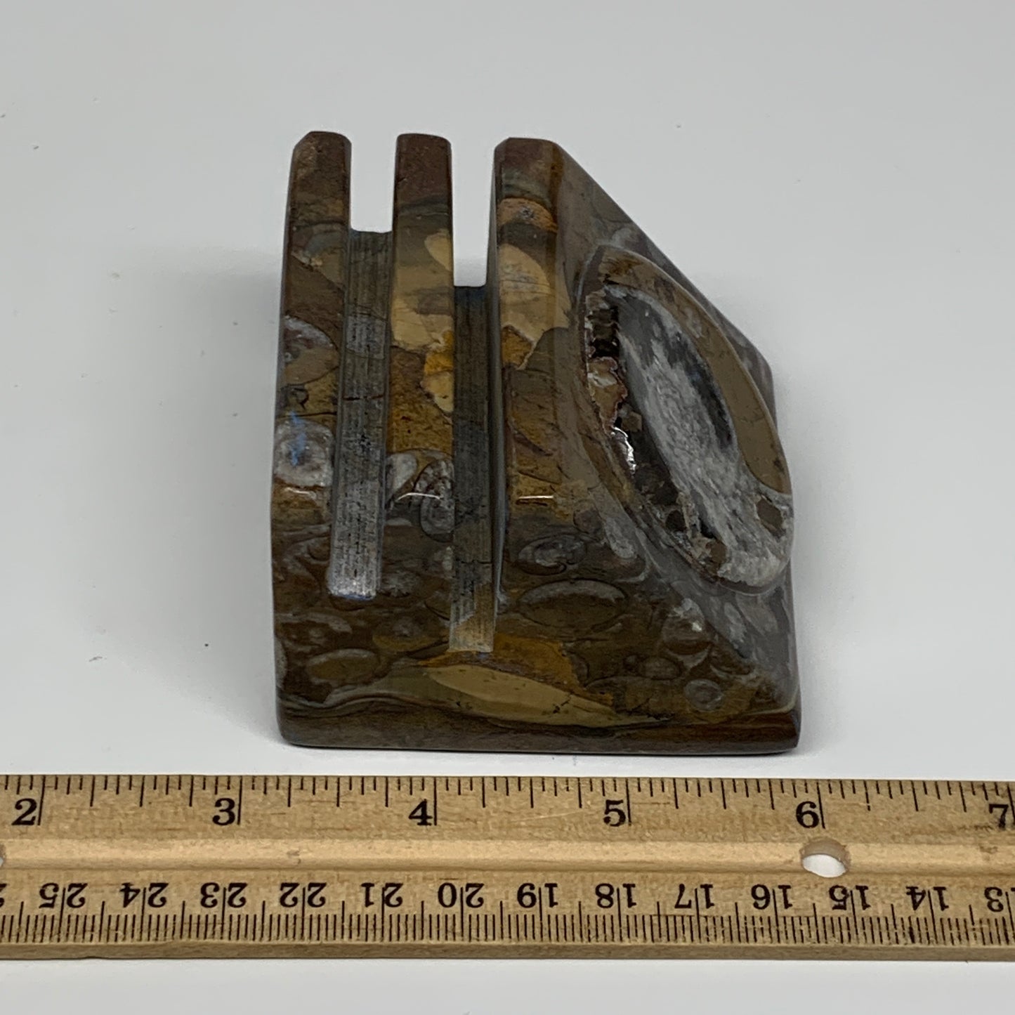 506g, 2.8" x 2.8" x 2" Fossils Orthoceras Ammonite Business Card Holder,B8100