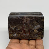 498g, 2.9" x 2.8" x 1.9" Fossils Orthoceras Ammonite Business Card Holder,B8102