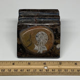498g, 2.9" x 2.8" x 1.9" Fossils Orthoceras Ammonite Business Card Holder,B8102