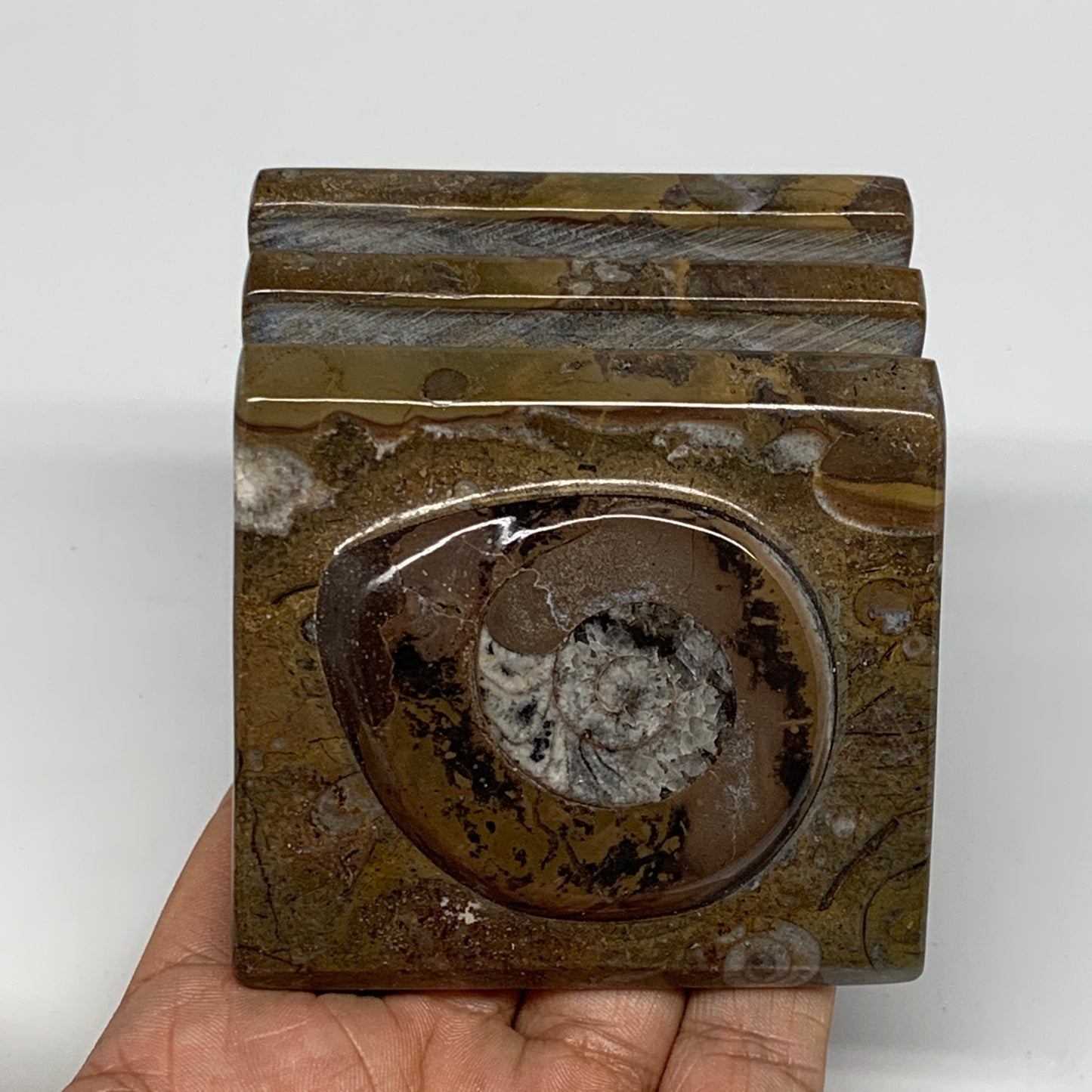 506g, 2.9" x 2.8" x 2" Fossils Orthoceras Ammonite Business Card Holder,B8104