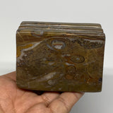 506g, 2.9" x 2.8" x 2" Fossils Orthoceras Ammonite Business Card Holder,B8104