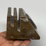 506g, 2.9" x 2.8" x 2" Fossils Orthoceras Ammonite Business Card Holder,B8104