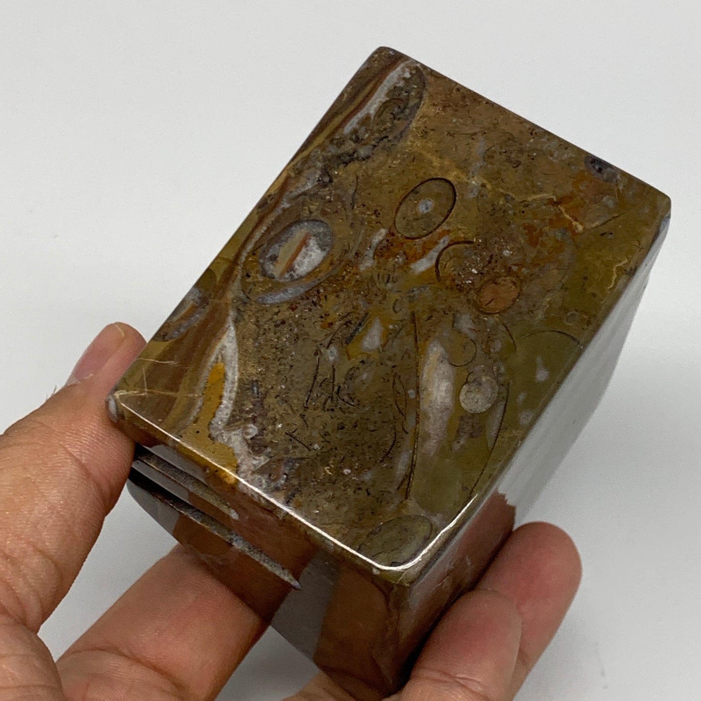 506g, 2.9" x 2.8" x 2" Fossils Orthoceras Ammonite Business Card Holder,B8104