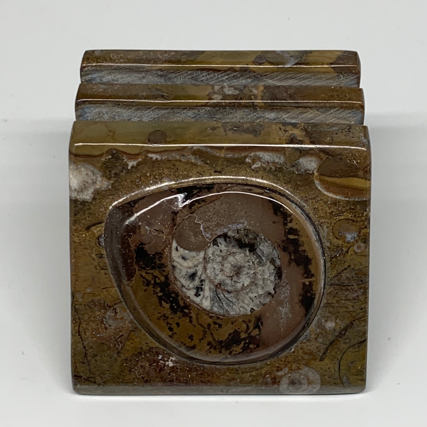 506g, 2.9" x 2.8" x 2" Fossils Orthoceras Ammonite Business Card Holder,B8104