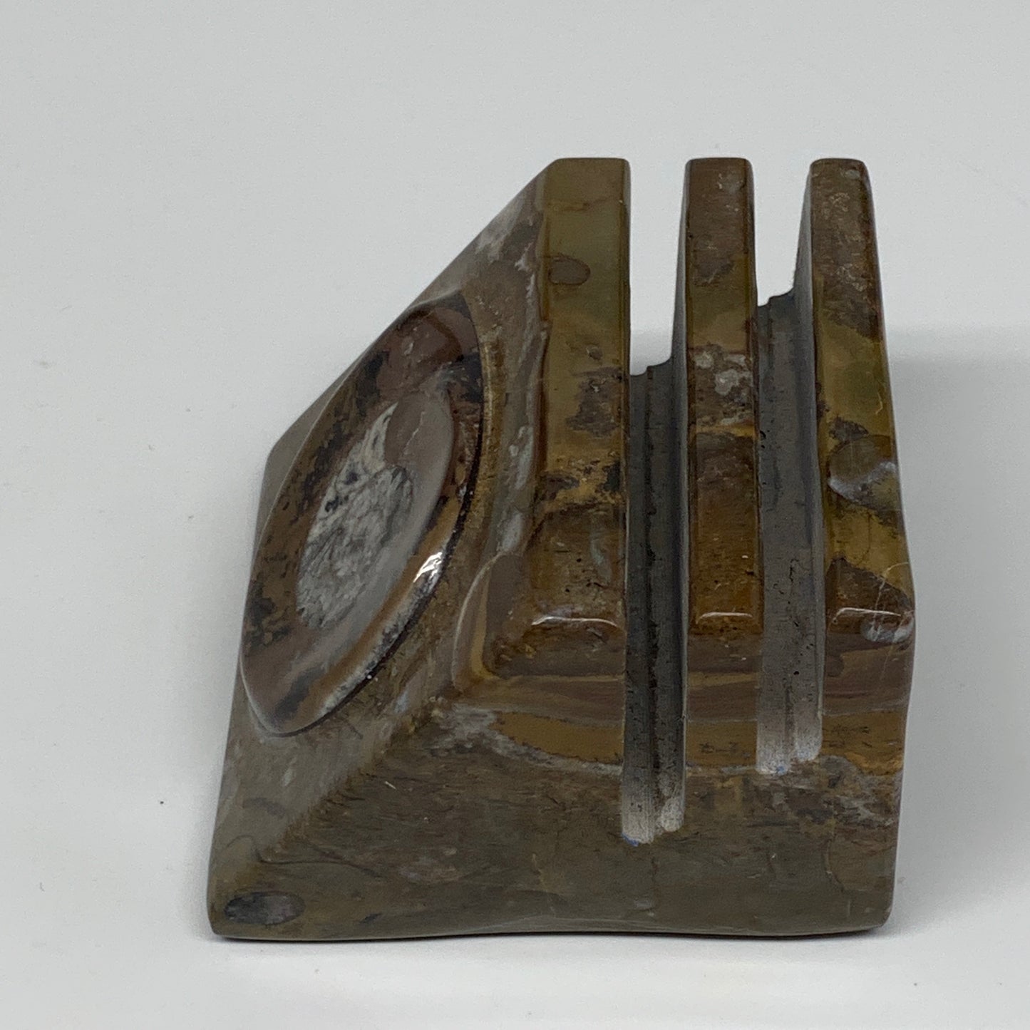 506g, 2.9" x 2.8" x 2" Fossils Orthoceras Ammonite Business Card Holder,B8104